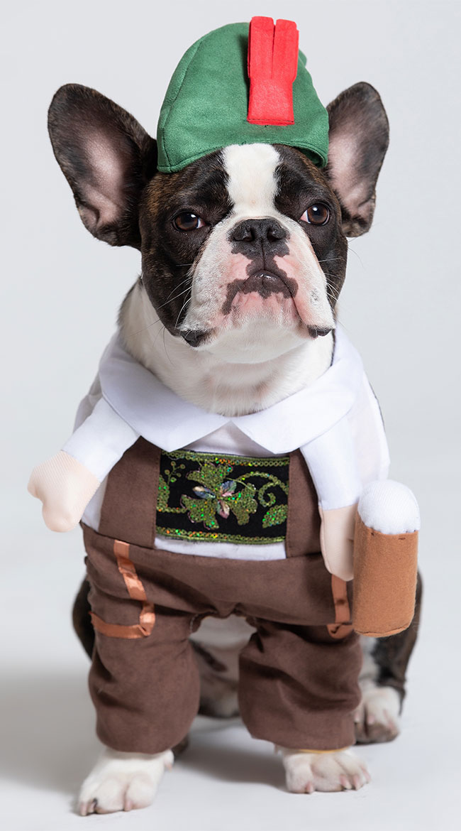Oktoberfest Dog Costume by Pet Krewe