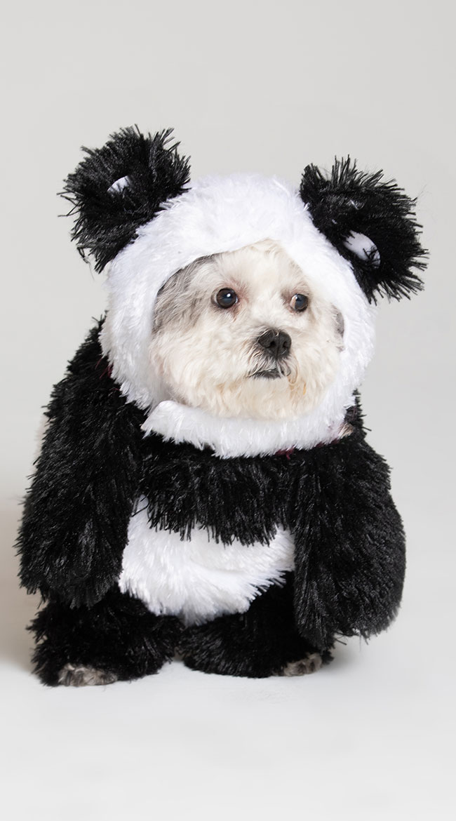 Panda Pooch Dog Costume by California Costumes