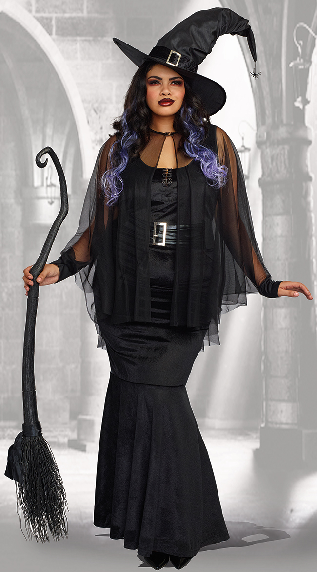 Plus Size Bewitching Beauty Costume by Dreamgirl