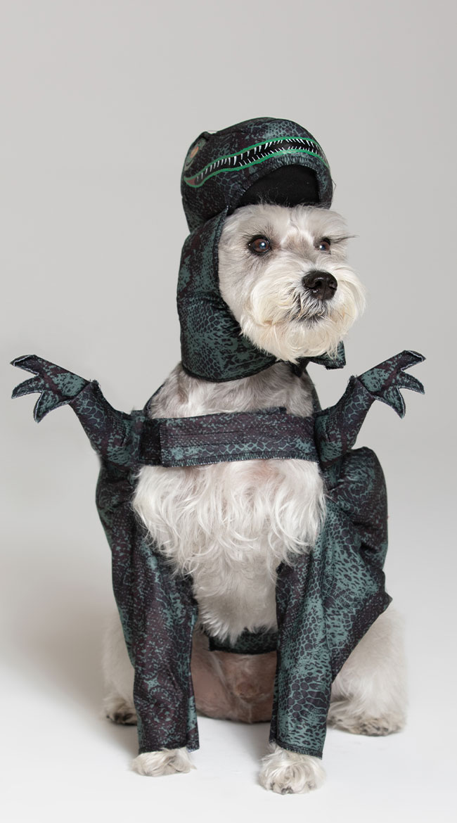 Pupasaurus Rex Dog Costume by California Costumes