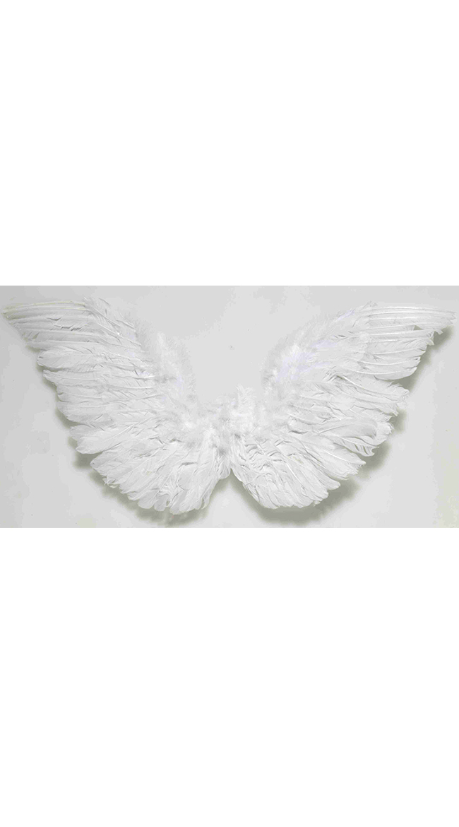 Small Angel Wings by Forum Novelties / Angel Halloween Costume