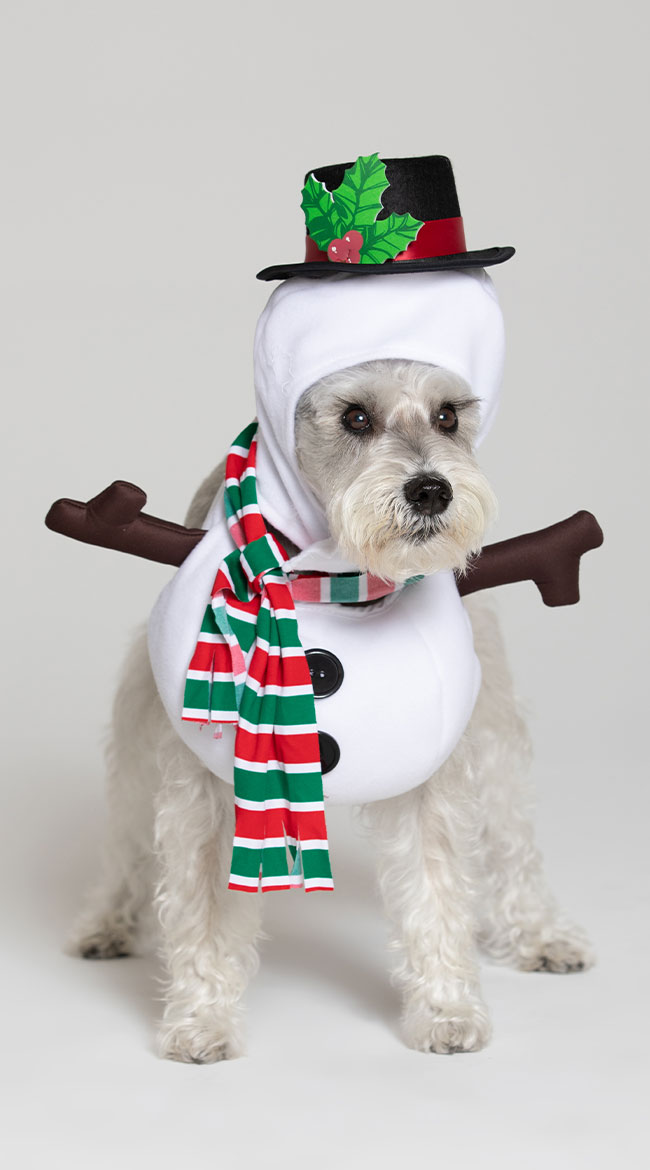 Snowman Dog Costume by California Costumes