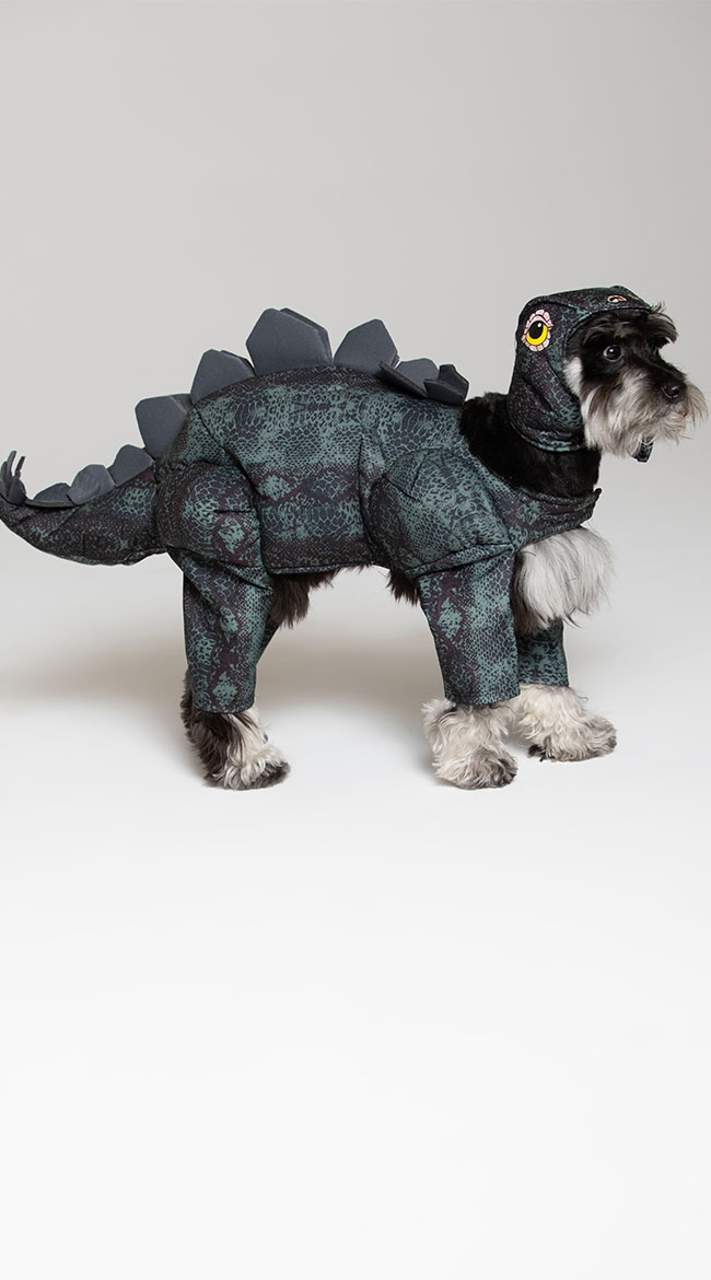 Stegosaurus Dog Costume by California Costumes