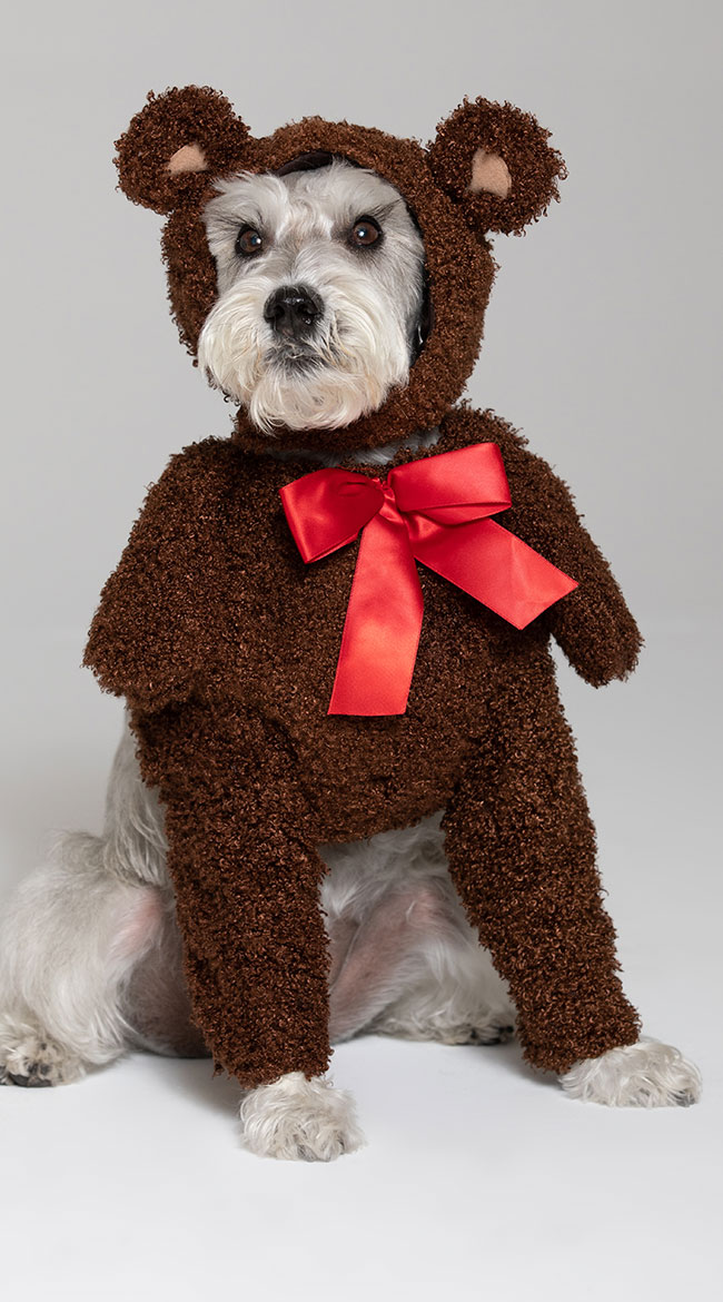 Teddy Bear Dog Costume by California Costumes