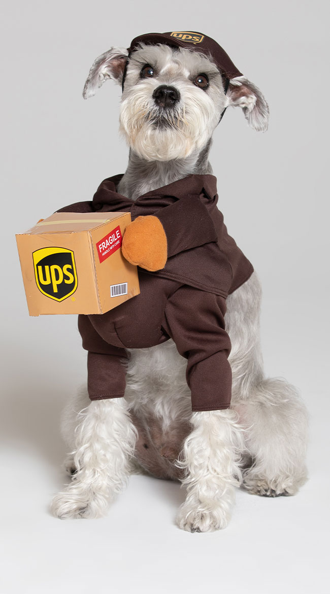 UPS Pal Dog Costume by California Costumes