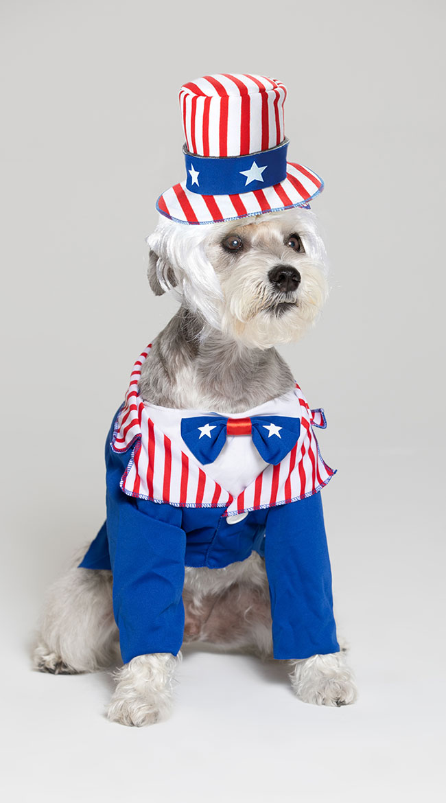 Uncle Sam Dog Costume by California Costumes